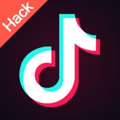 TikTok Inhouse