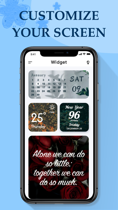 Themes: Fancy Widgets, Icons