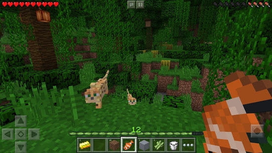 Minecraft Mod