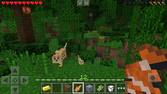 Minecraft Mod