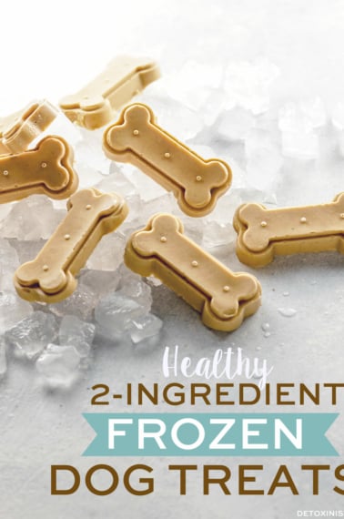 2-Ingredient Healthy Frozen Dog Treats pin